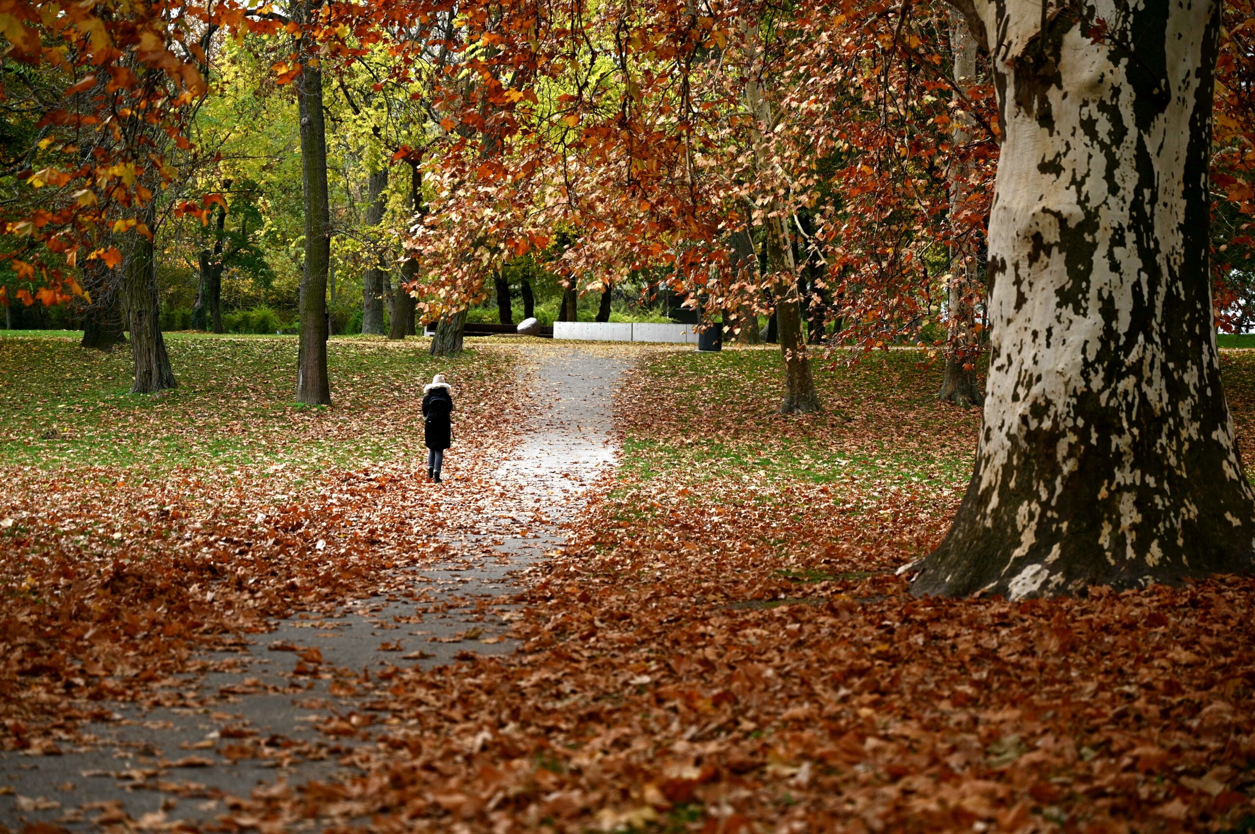 Read more about the article Bratislava’s Best Walking Zones