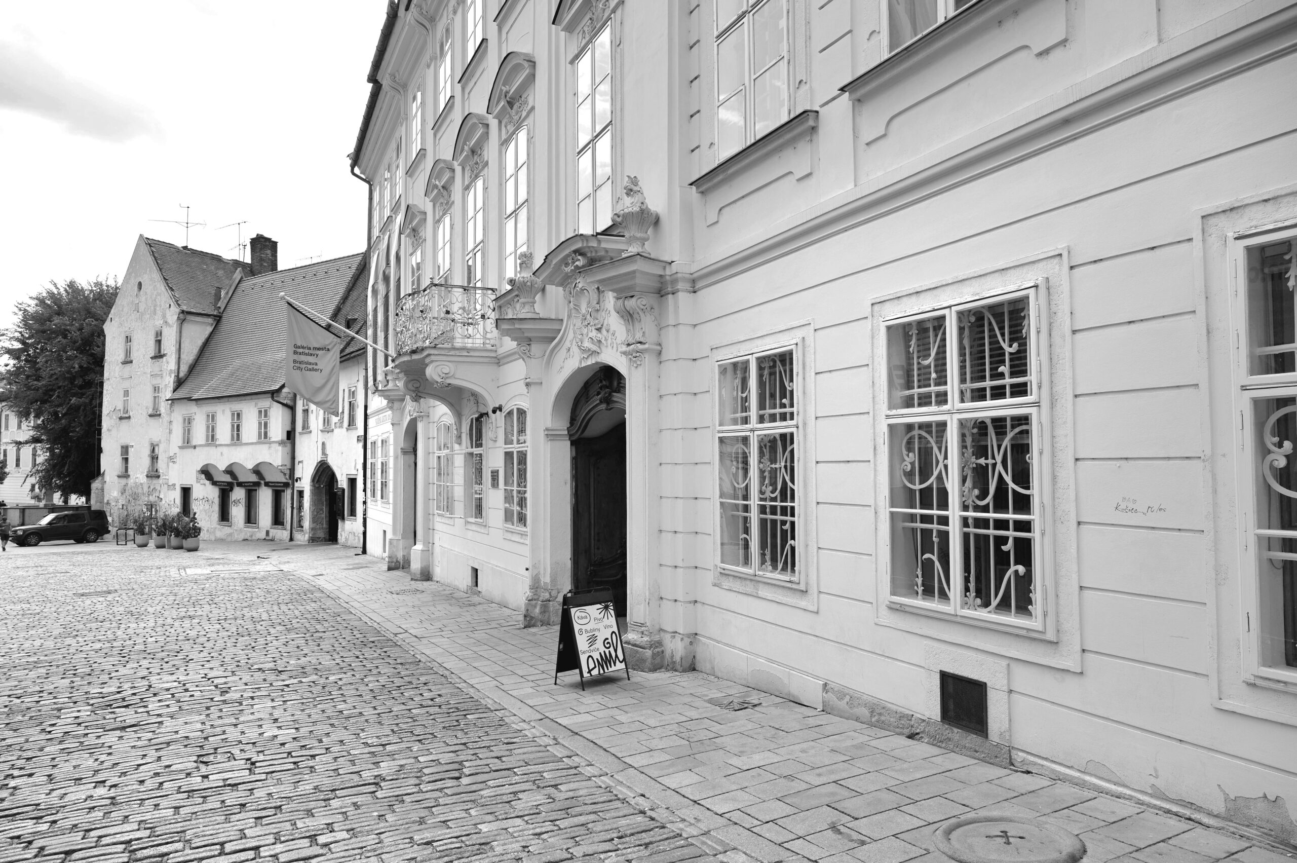 Read more about the article Mirbach Palace