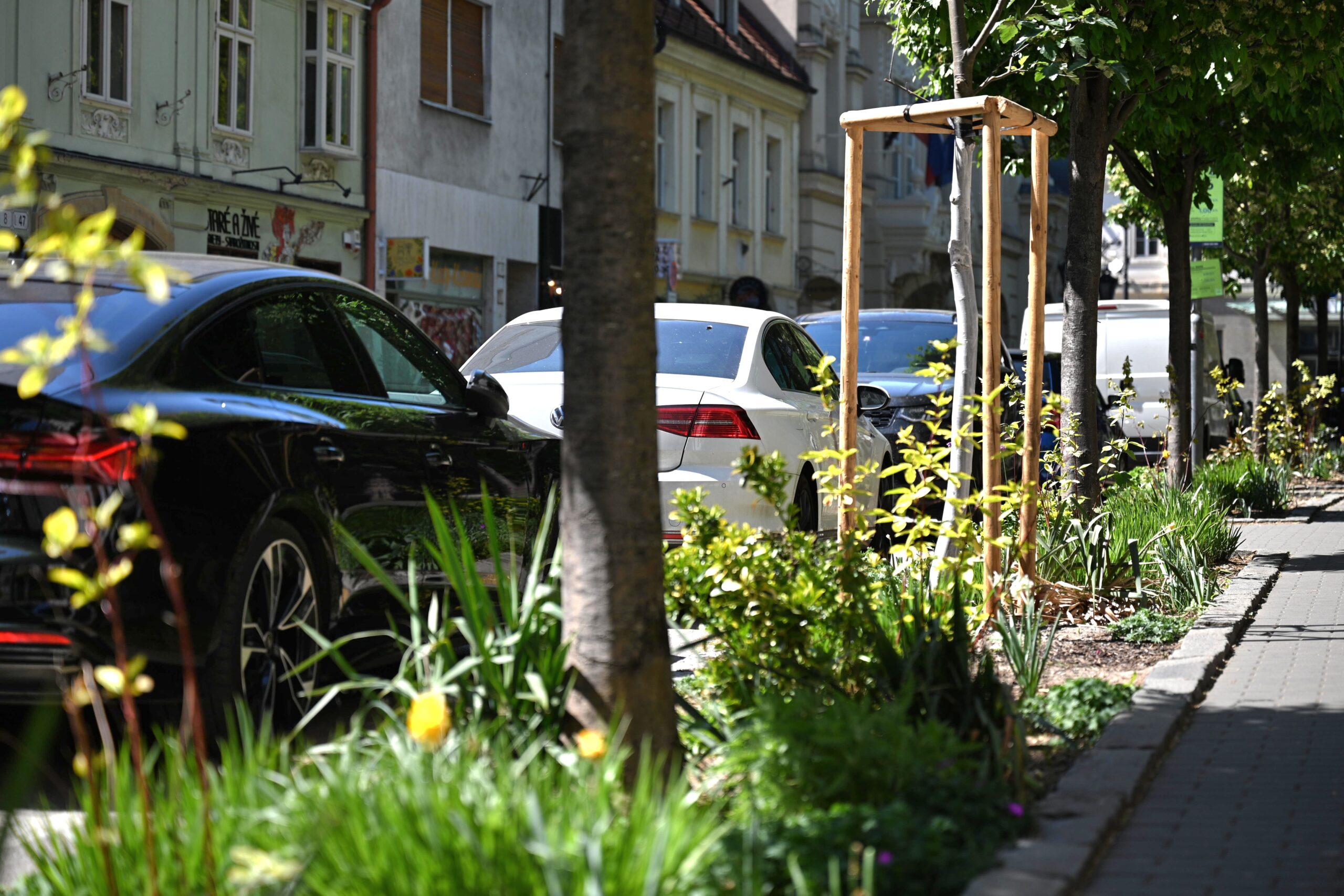 Mehr über den Artikel erfahren Parken in Bratislava